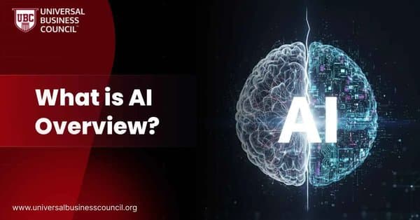 What is AI Overview?