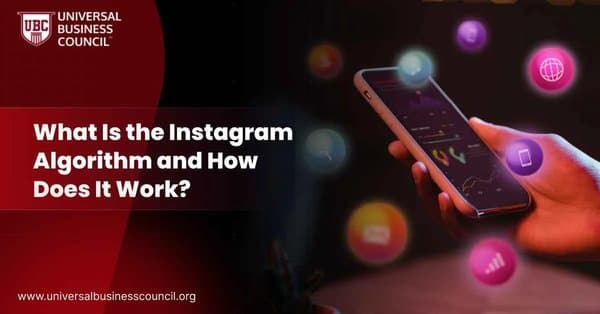 What Is the Instagram Algorithm and How Does It Work?