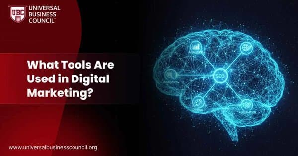Glowing brain network with nodes labeled SEO, analytics, and automation.