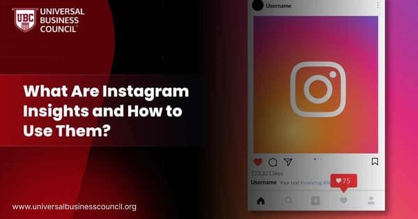 What Are Instagram Insights and How to Use Them?