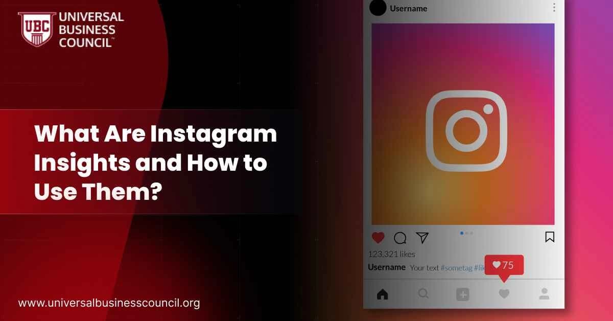 What Are Instagram Insights and How to Use Them?