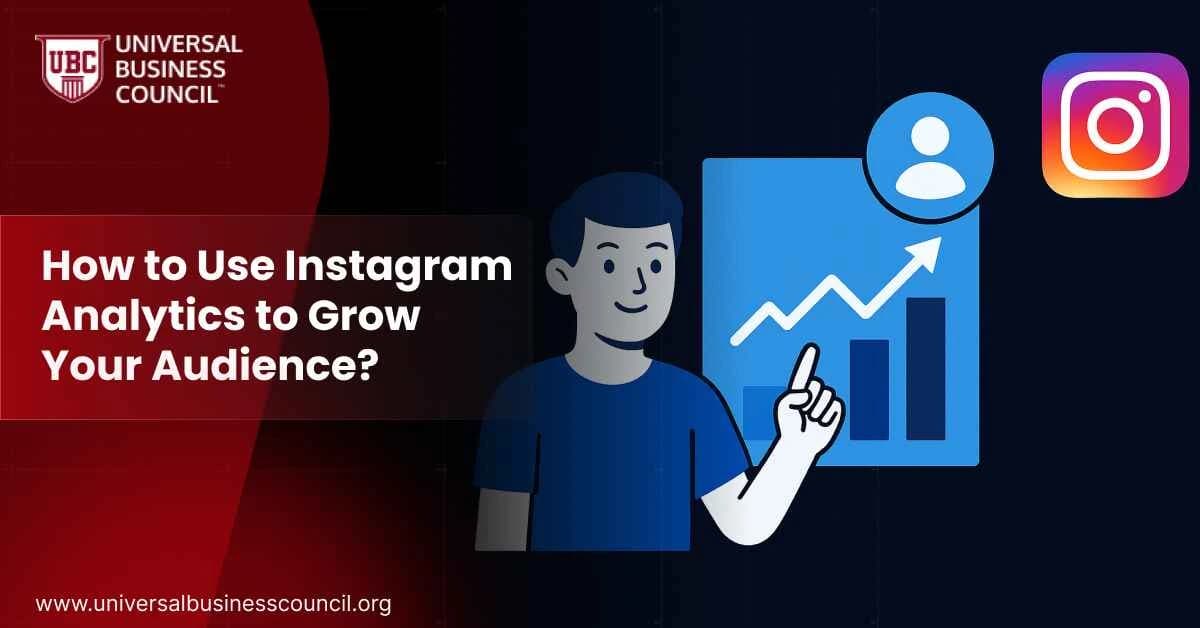 How to Use Instagram Analytics to Grow Your Audience?