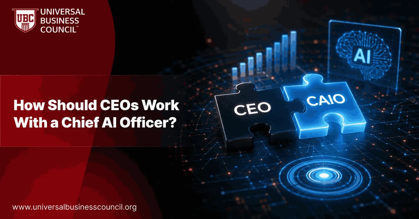 How Should CEOs Work With a Chief AI Officer?