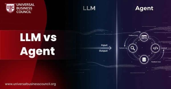 LLM vs Agent