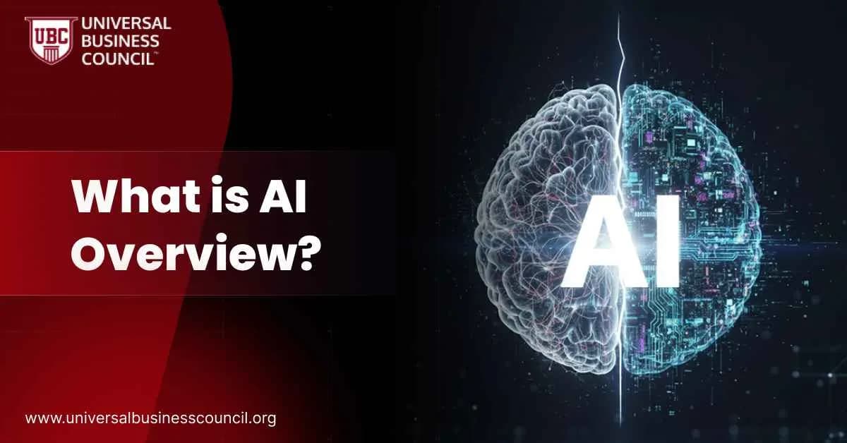 What is AI Overview?