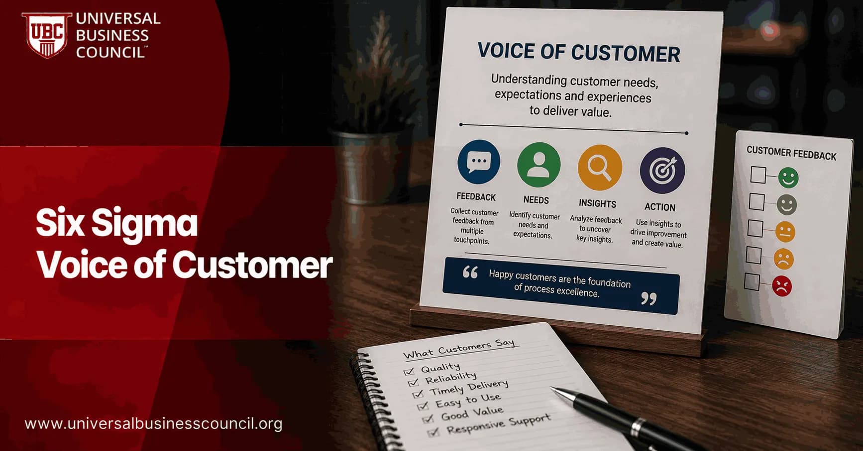 Six Sigma Voice of Customer