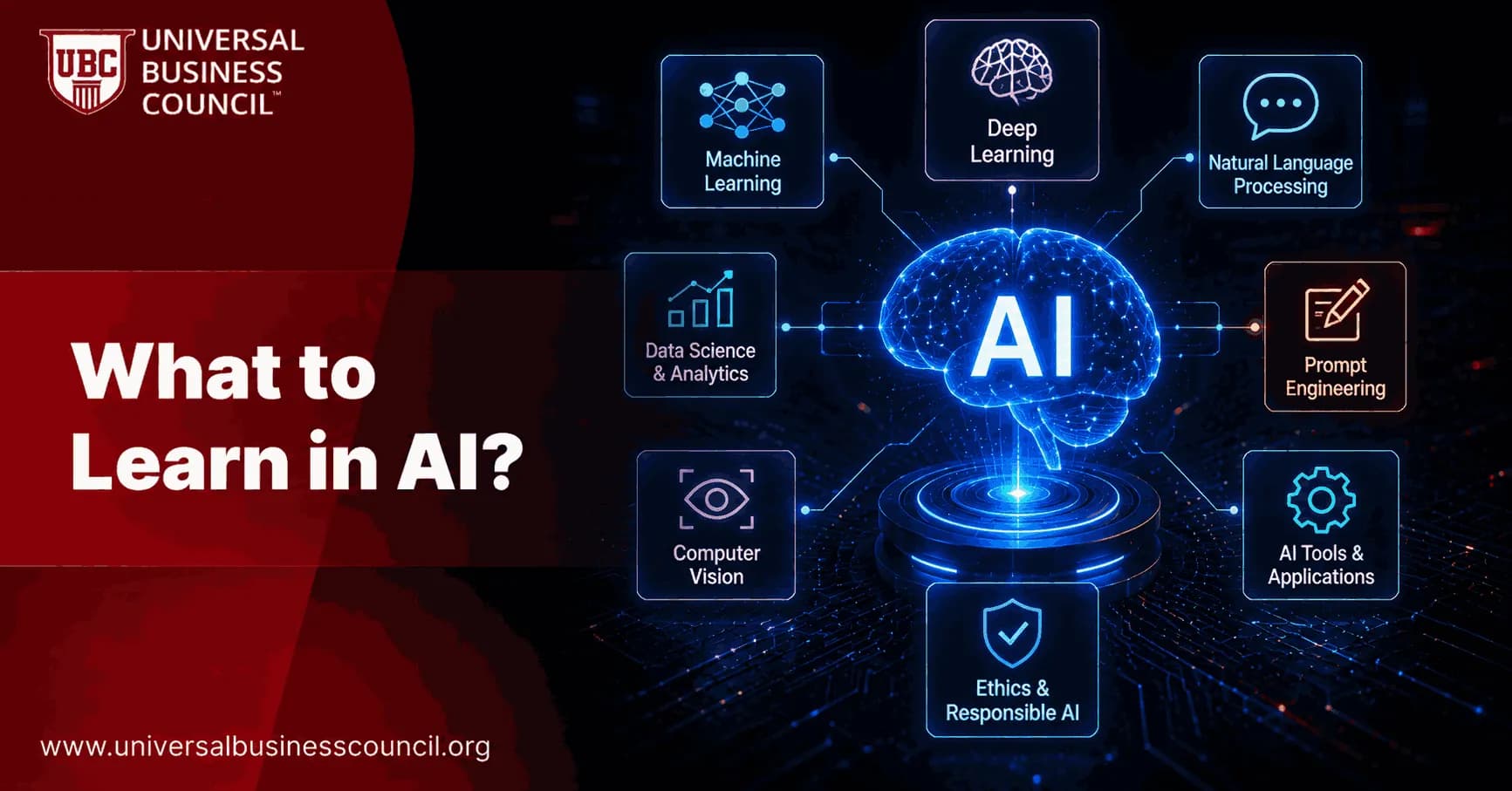 What to Learn in AI?