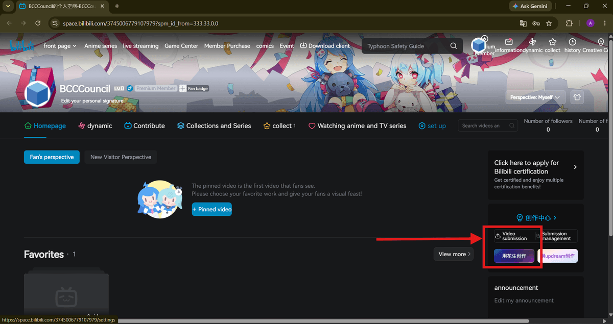 "Video submission"
